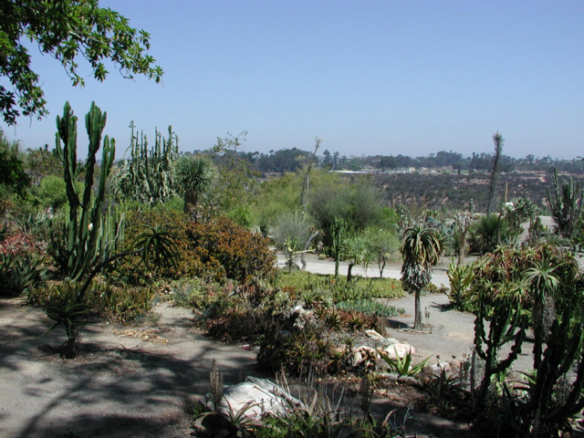 Desert Garden, Balboa Park